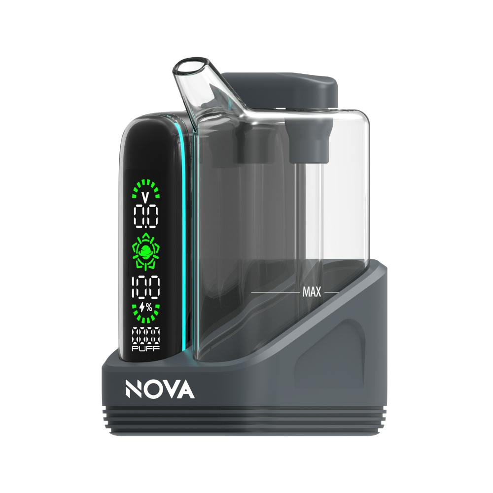 Pulse Buddy - Grey | Vaporizer