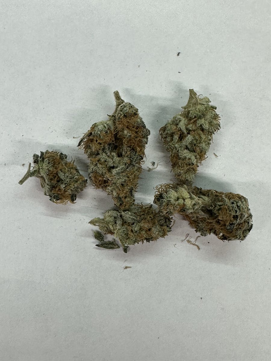 Poppin Fresh | Big Buds | 3.5g