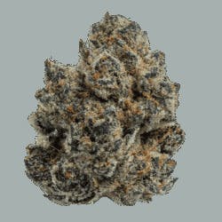 Miami Runtz | Big Buds | 1g