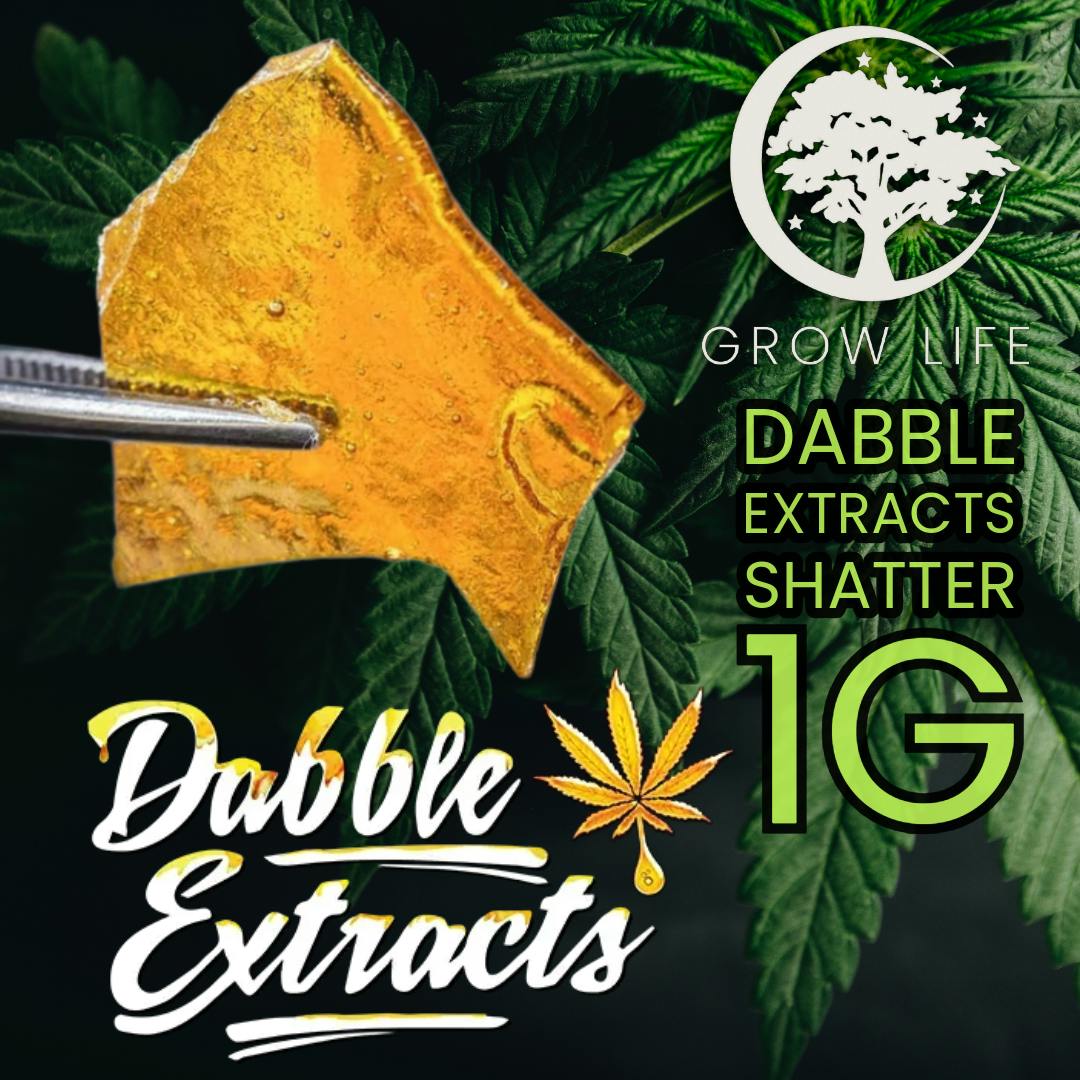 Marathon OG | Solvent | Shatter | 1g cannabis product