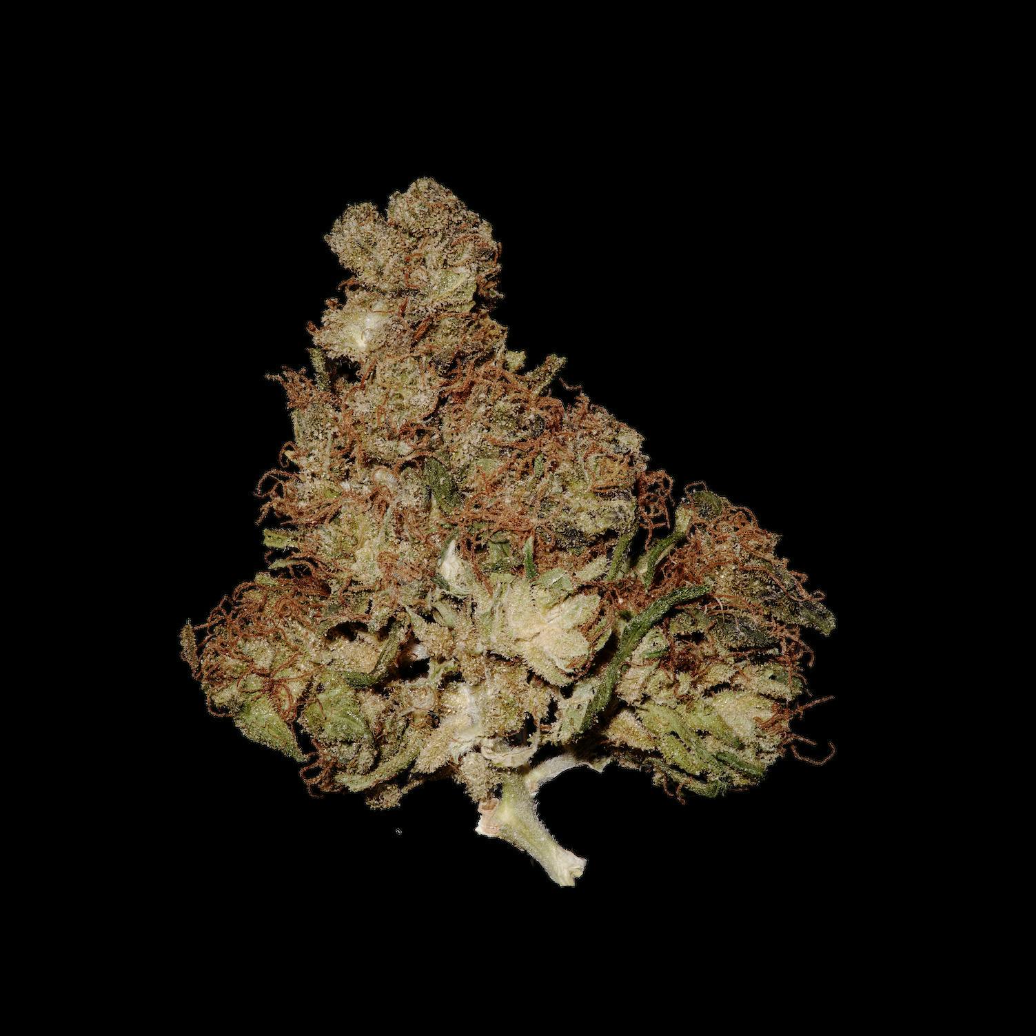 Haze | Big Buds | 3.5g