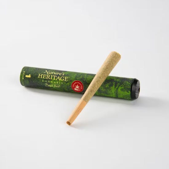 Governmint Oasis | Joints | 1g by Nature's Heritage