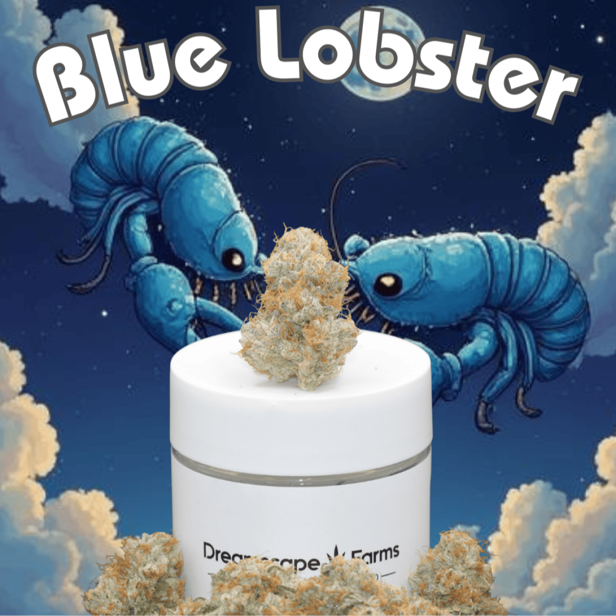 Blue Lobster Big Buds