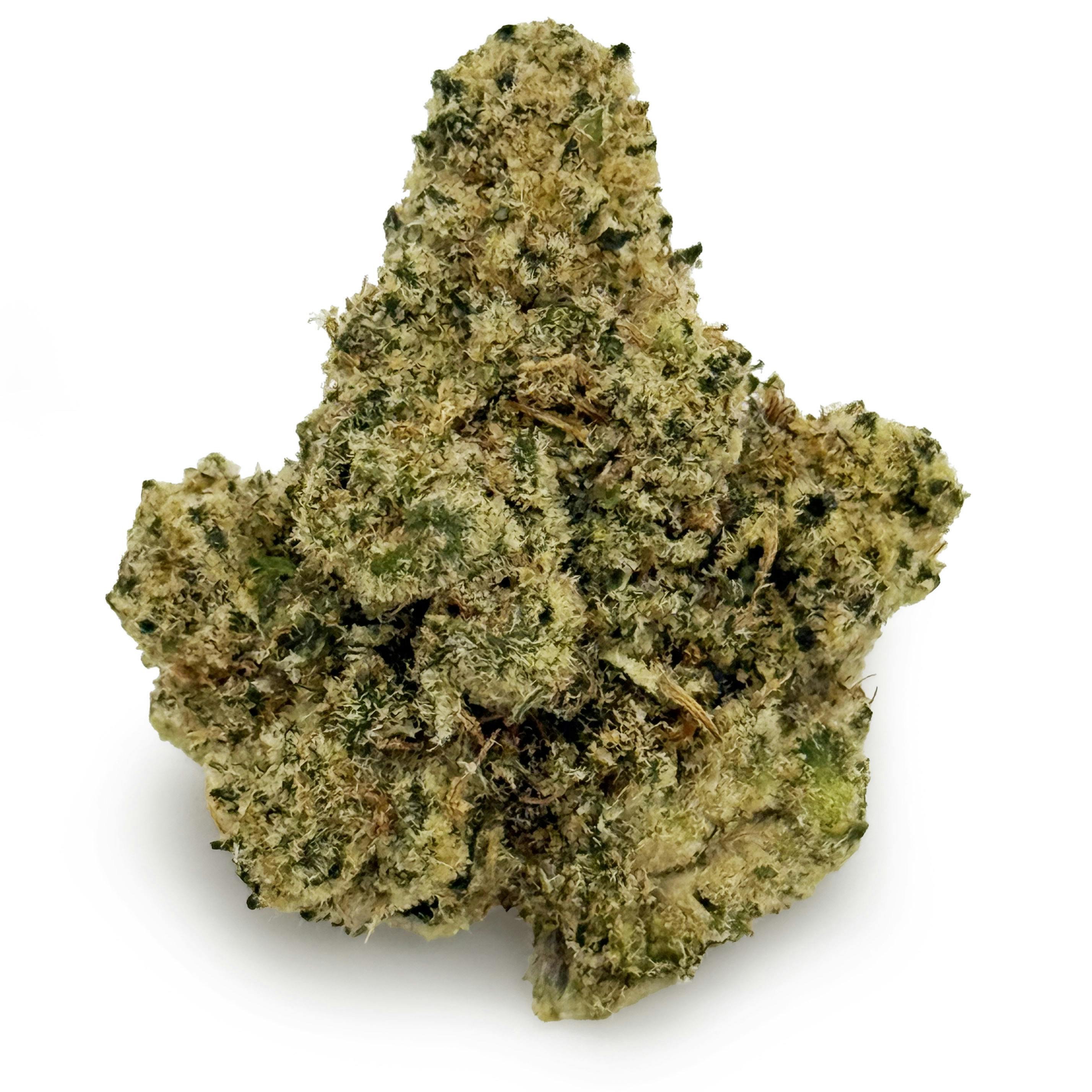Lemon Oreoz Big Buds