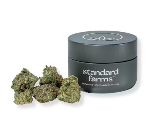 NF1 | Big Buds | 3.5g by Standard Farms