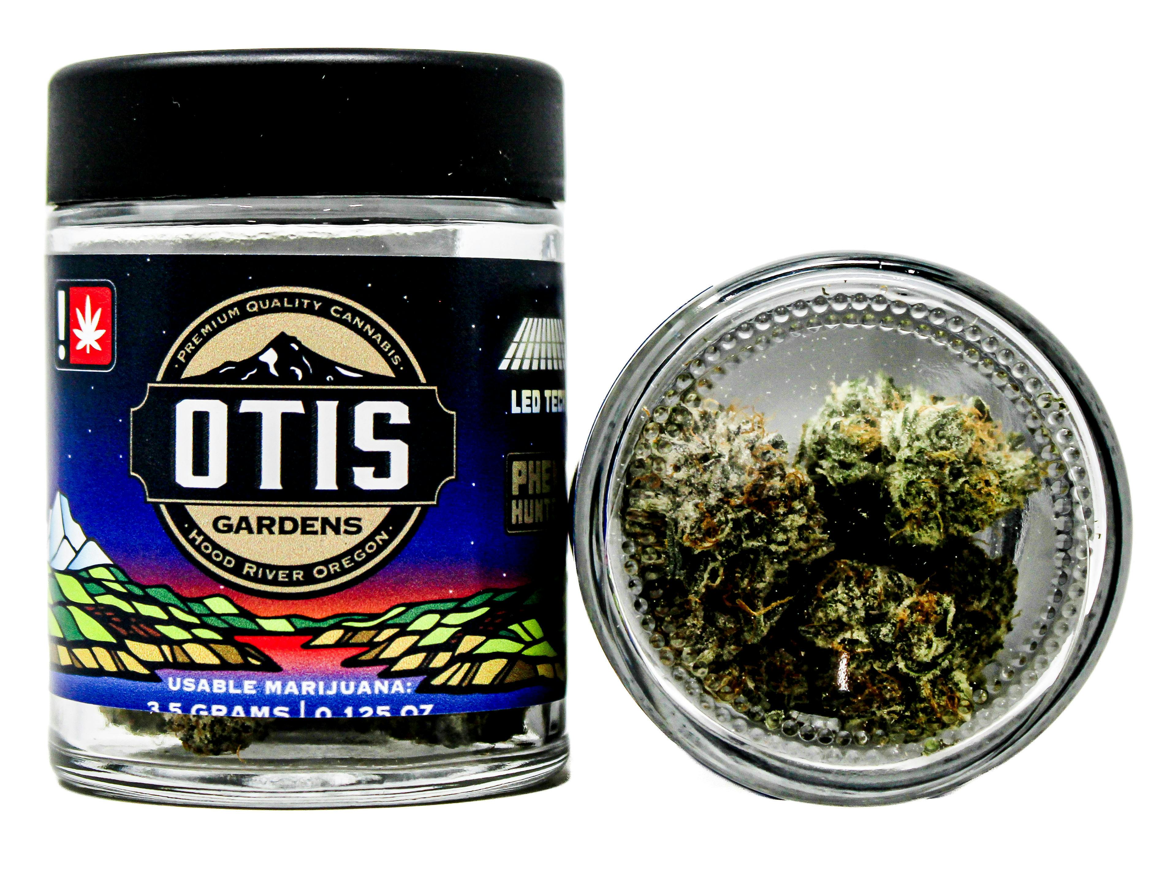 Otis Gardens: Coconut Clouds