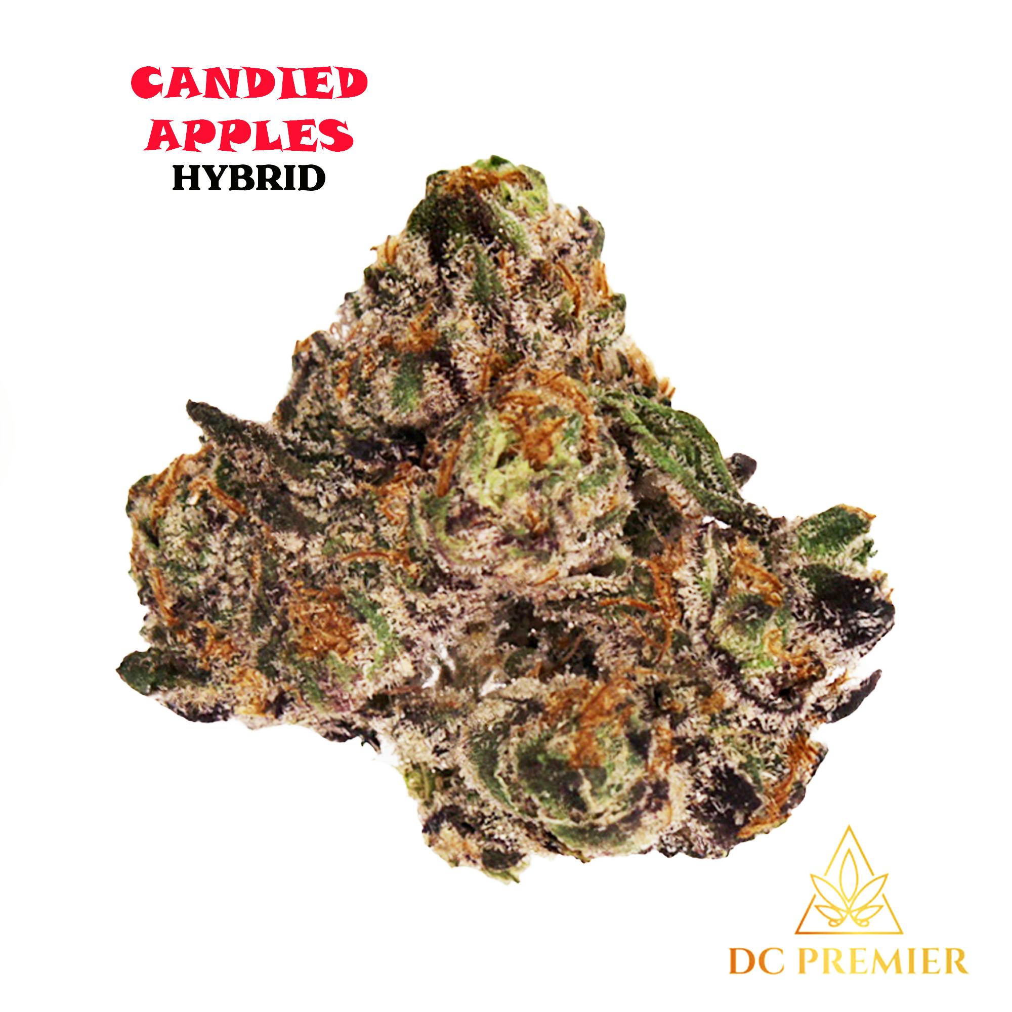 Candied Apples Big Buds