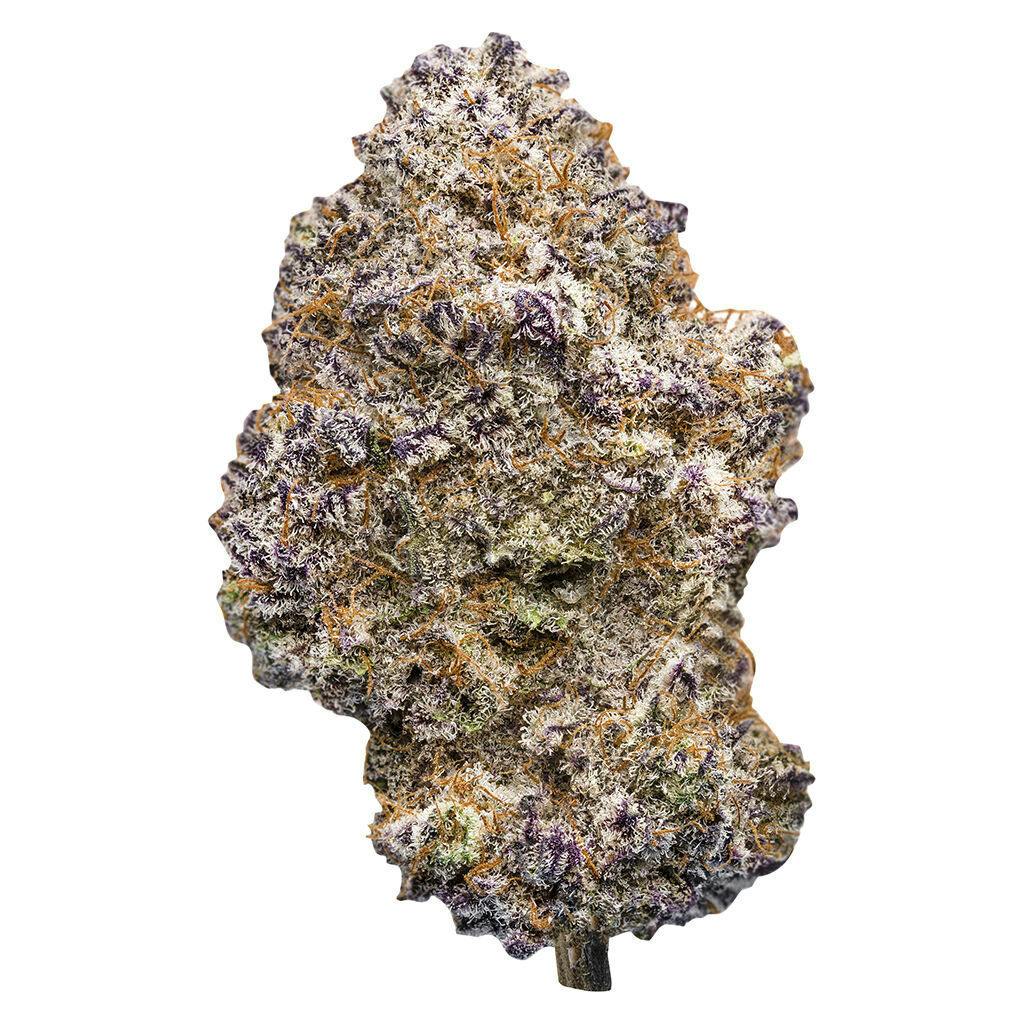 British Columbia's Gas | Big Buds | 7g