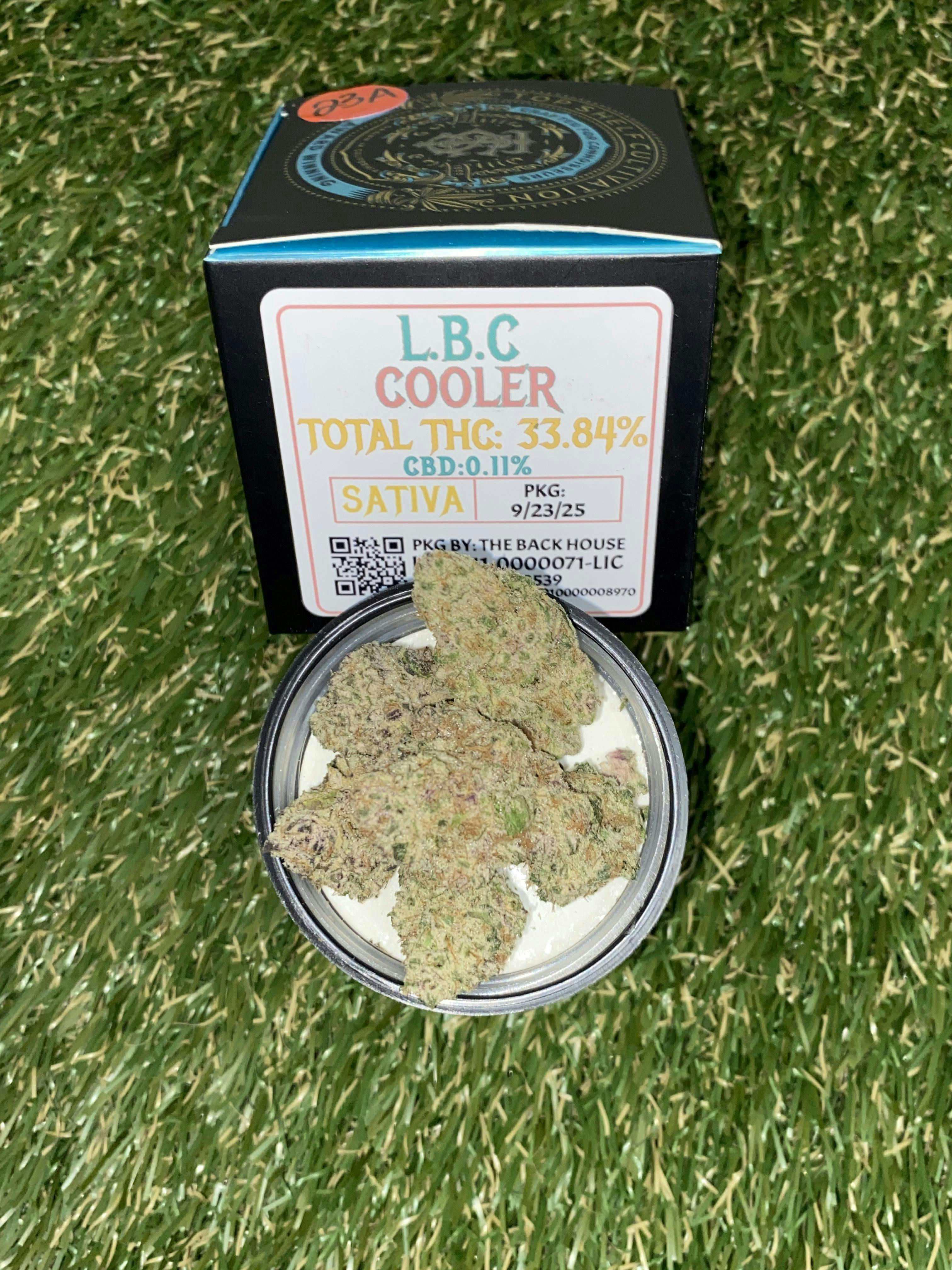 L.B.C. Cooler: Big Buds - 3.5g
