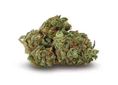 Animalz · Big Buds