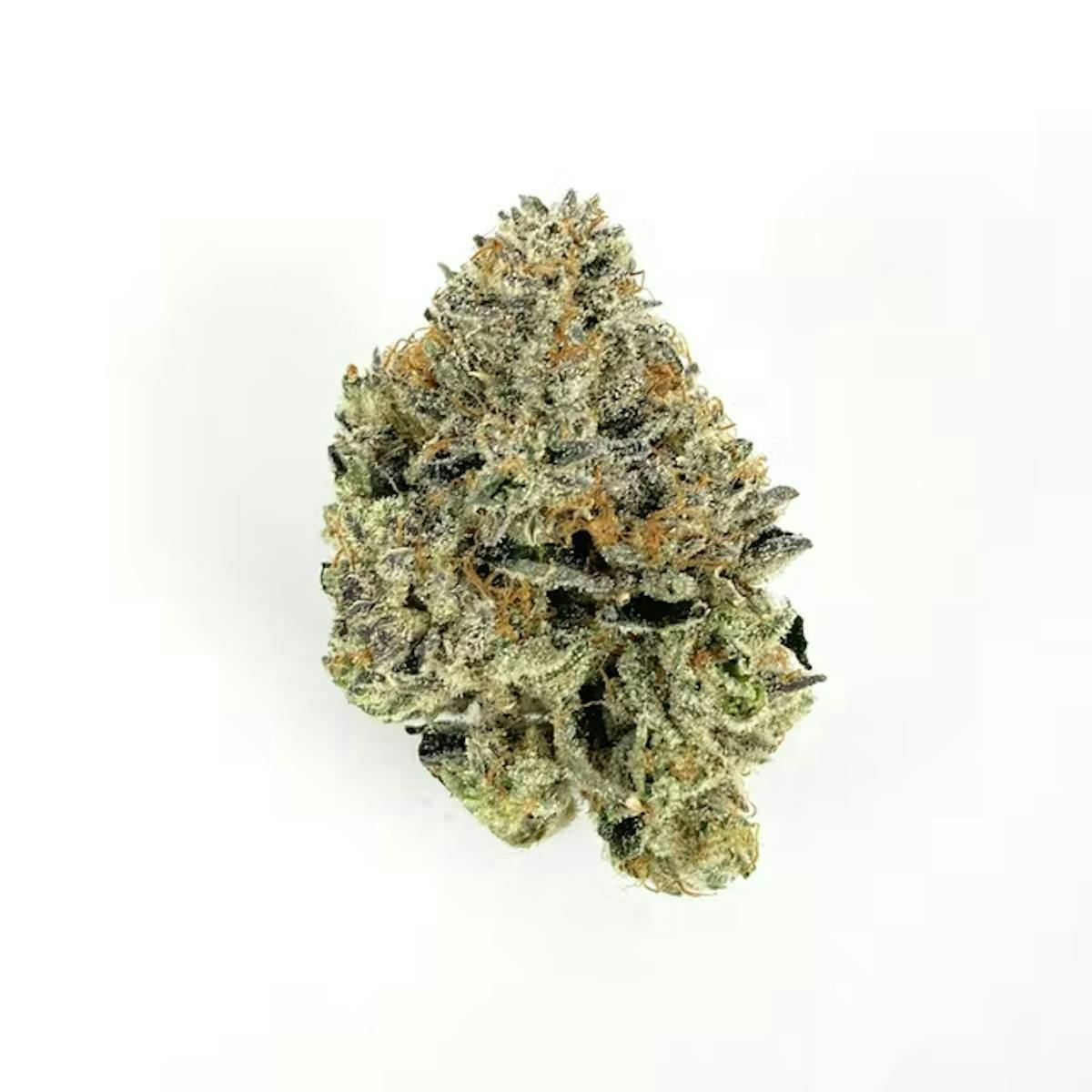 First Class Gas | Big Buds | 3.5g