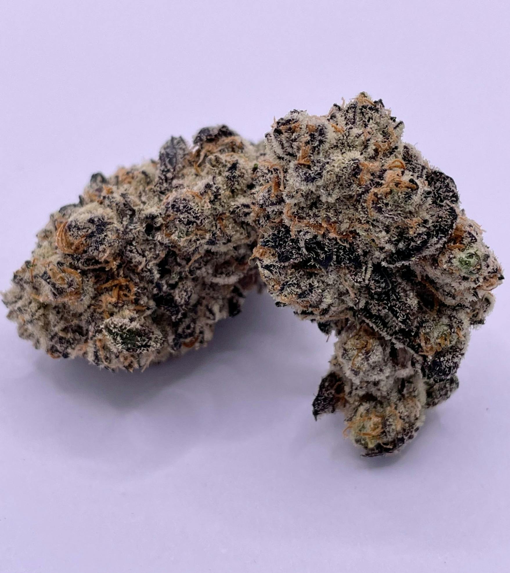 Garlic Icing | Big Buds | 14g by Nature's Miracle