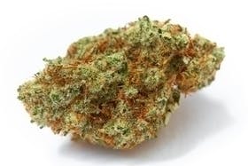 Tahoe OG Kush | Big Buds | 3.5g by Natural State Medicinals