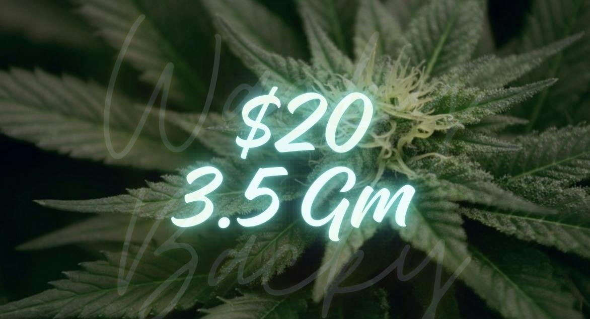 Cap Junky | Big Buds | 3.5g by GULAB INC