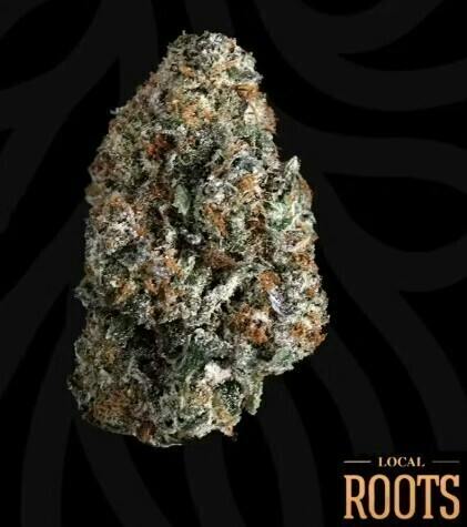 Pura Vida | Big Buds | 14g