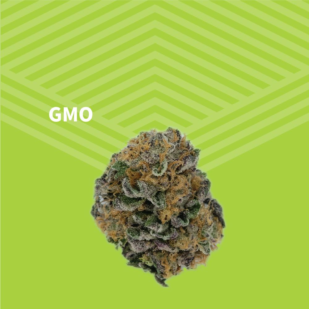 GMO | Big Buds | 1g at Pure Dakota Health Williston Dispensary