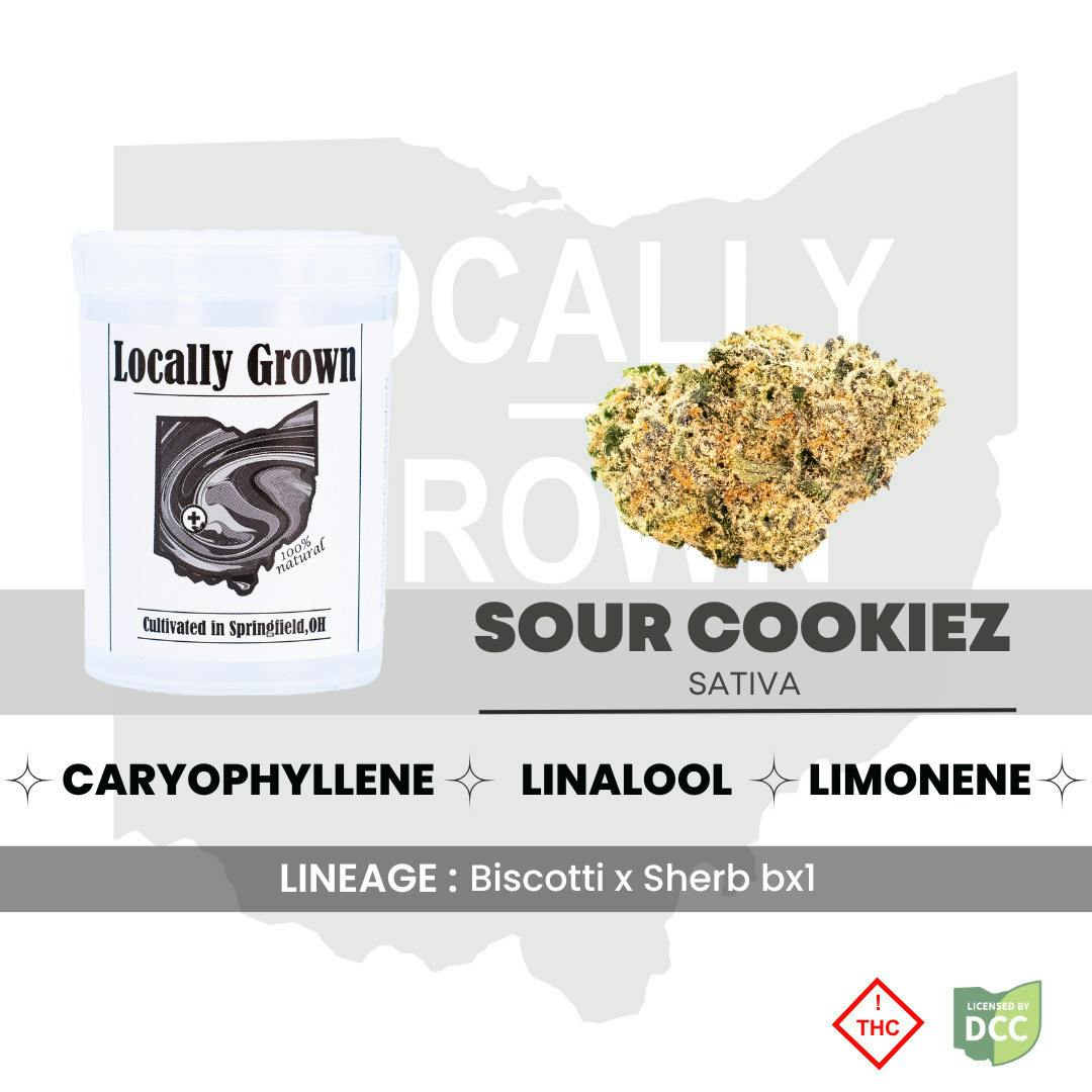 Sour Cookiez | Big Buds | 2.83g at Pure Ohio Wellness