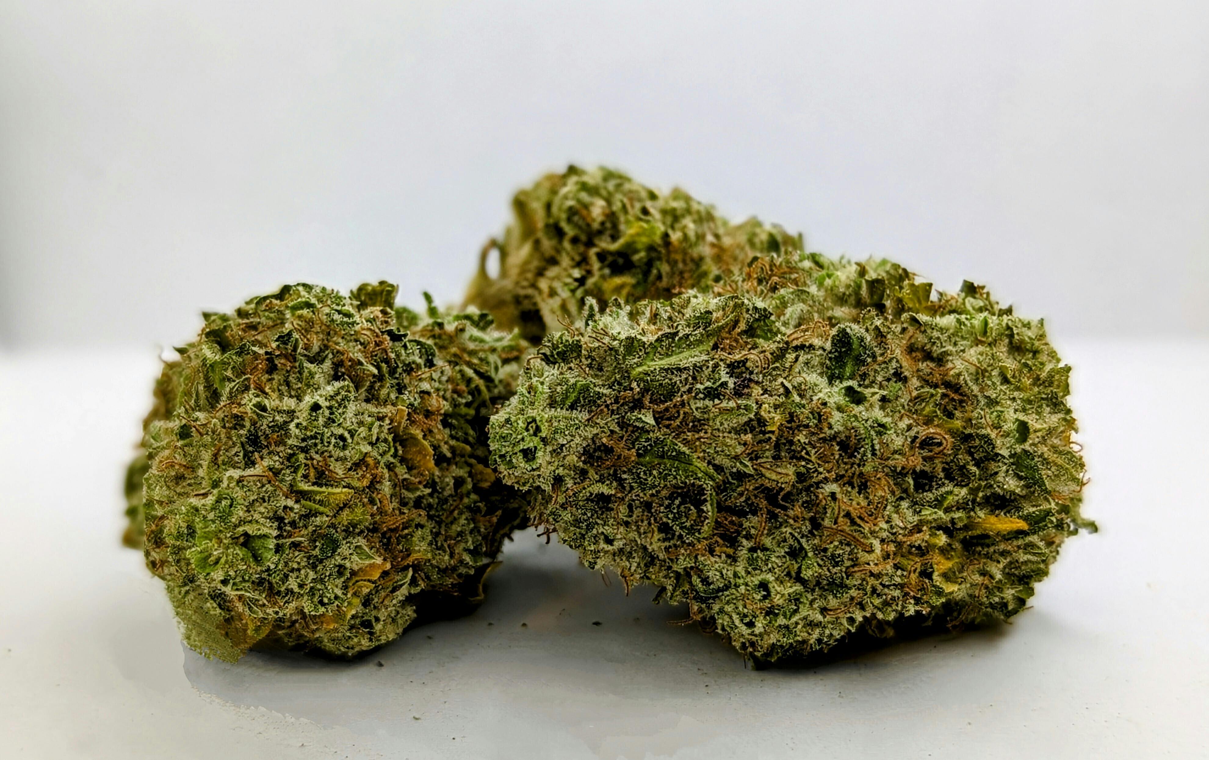 Amnesia Fast | Smalls | 3.5g by Natural State Medicinals