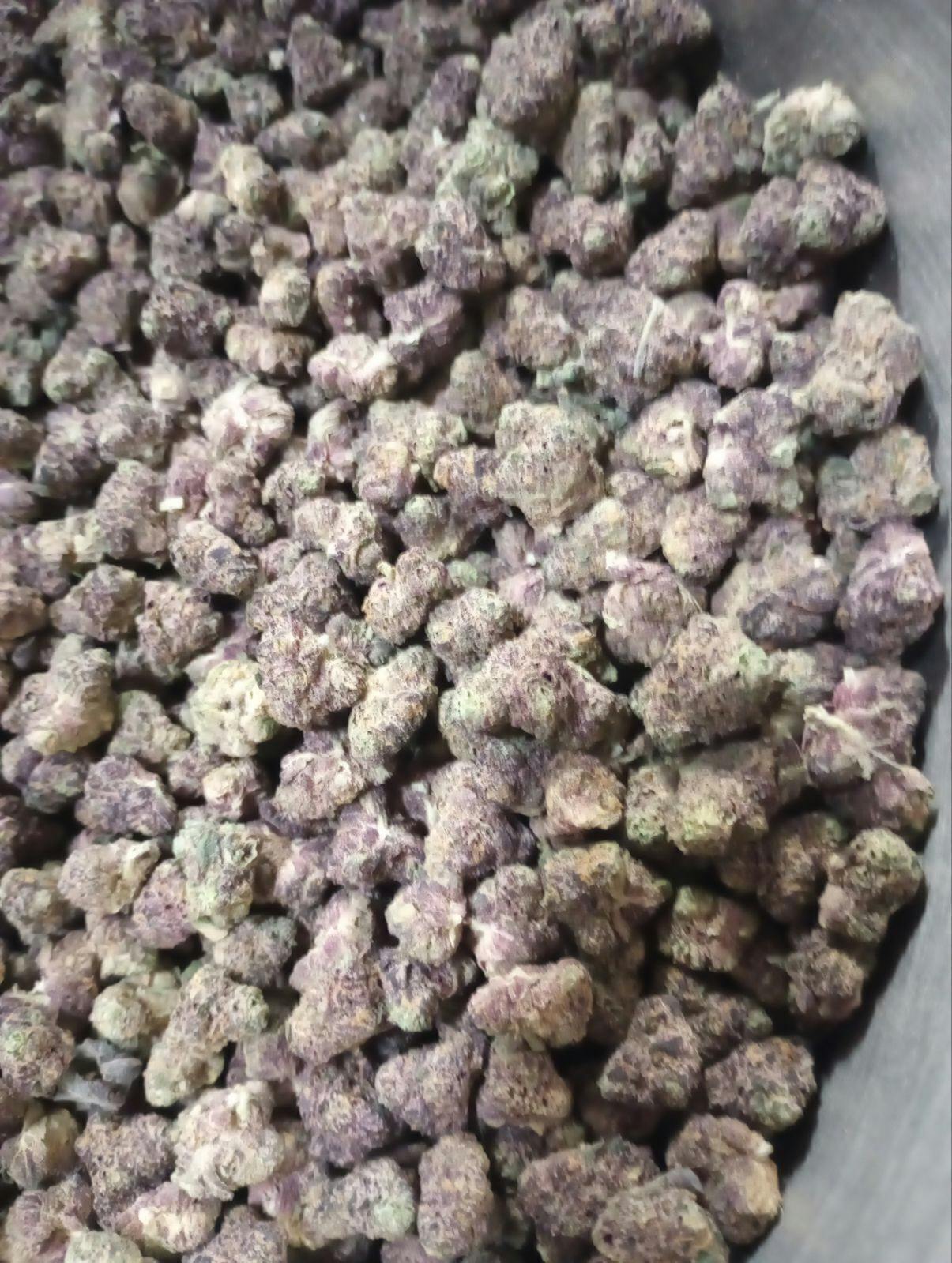 Pinnacle | Big Buds | 1g