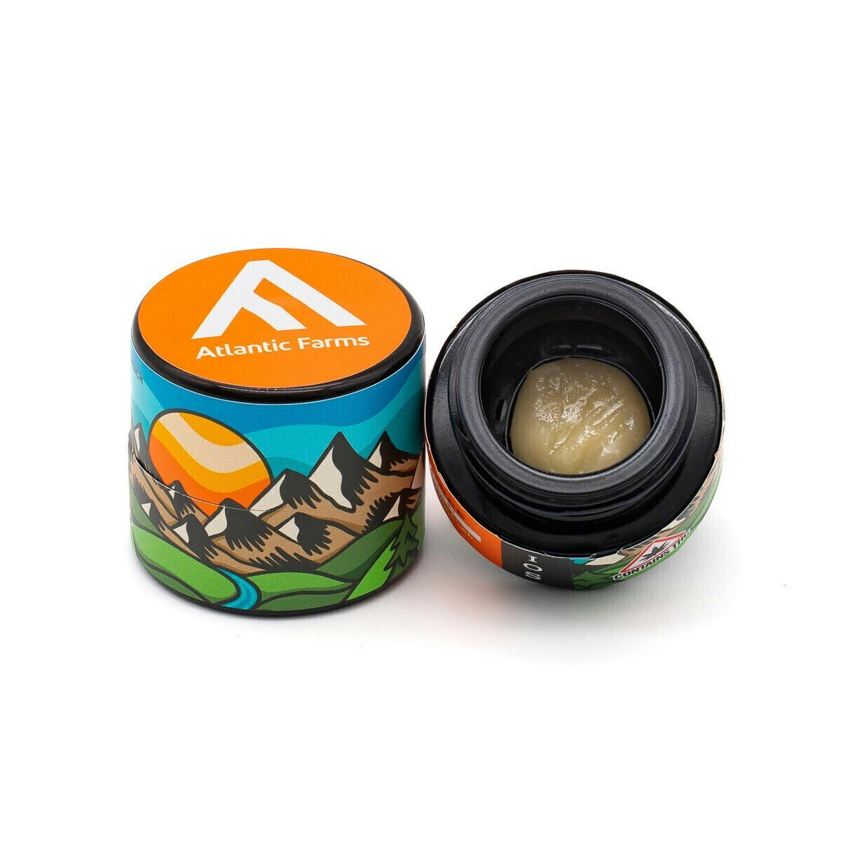 Trop Gold | Solvent | Badder | 1g