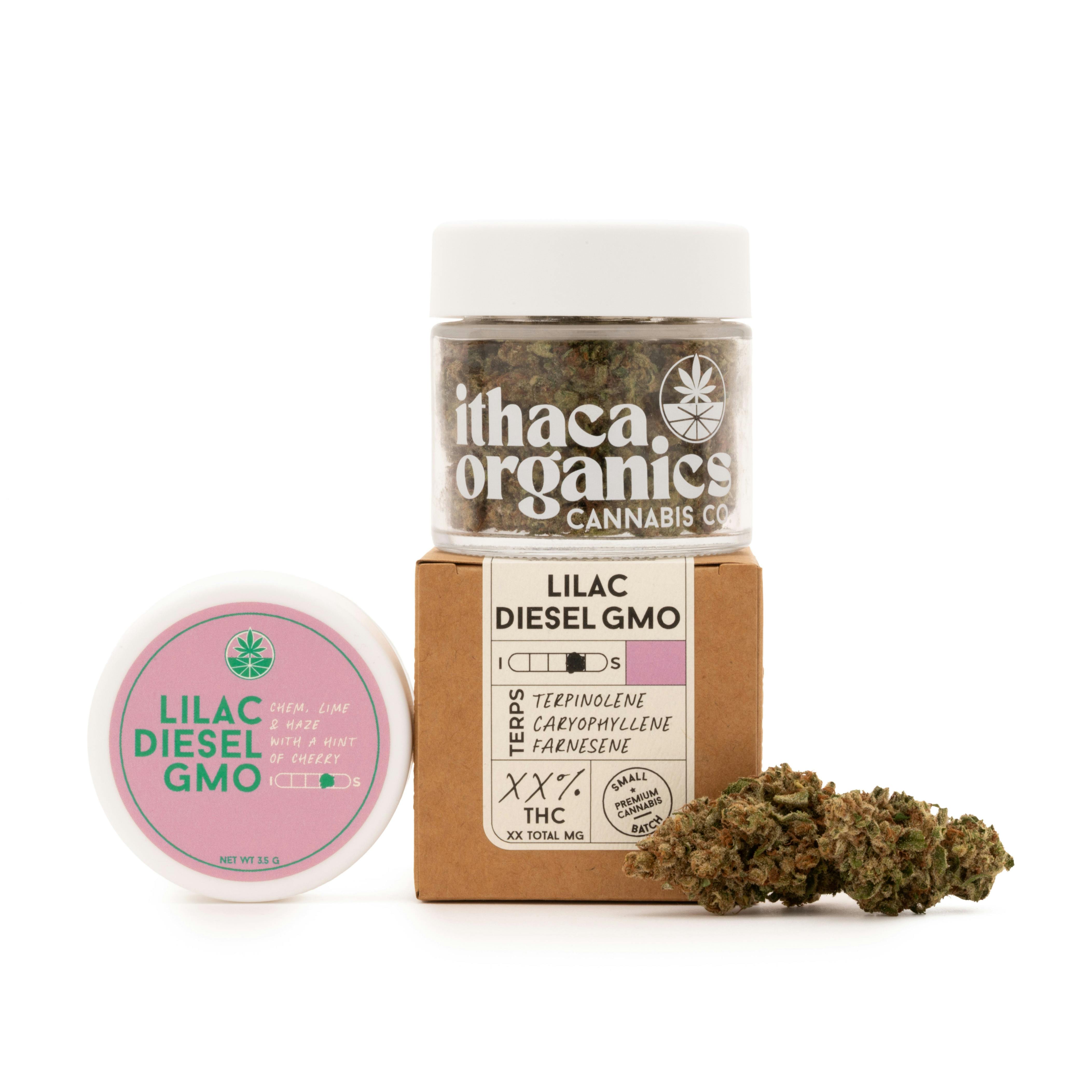 Lilac Diesel Gmo Big Buds