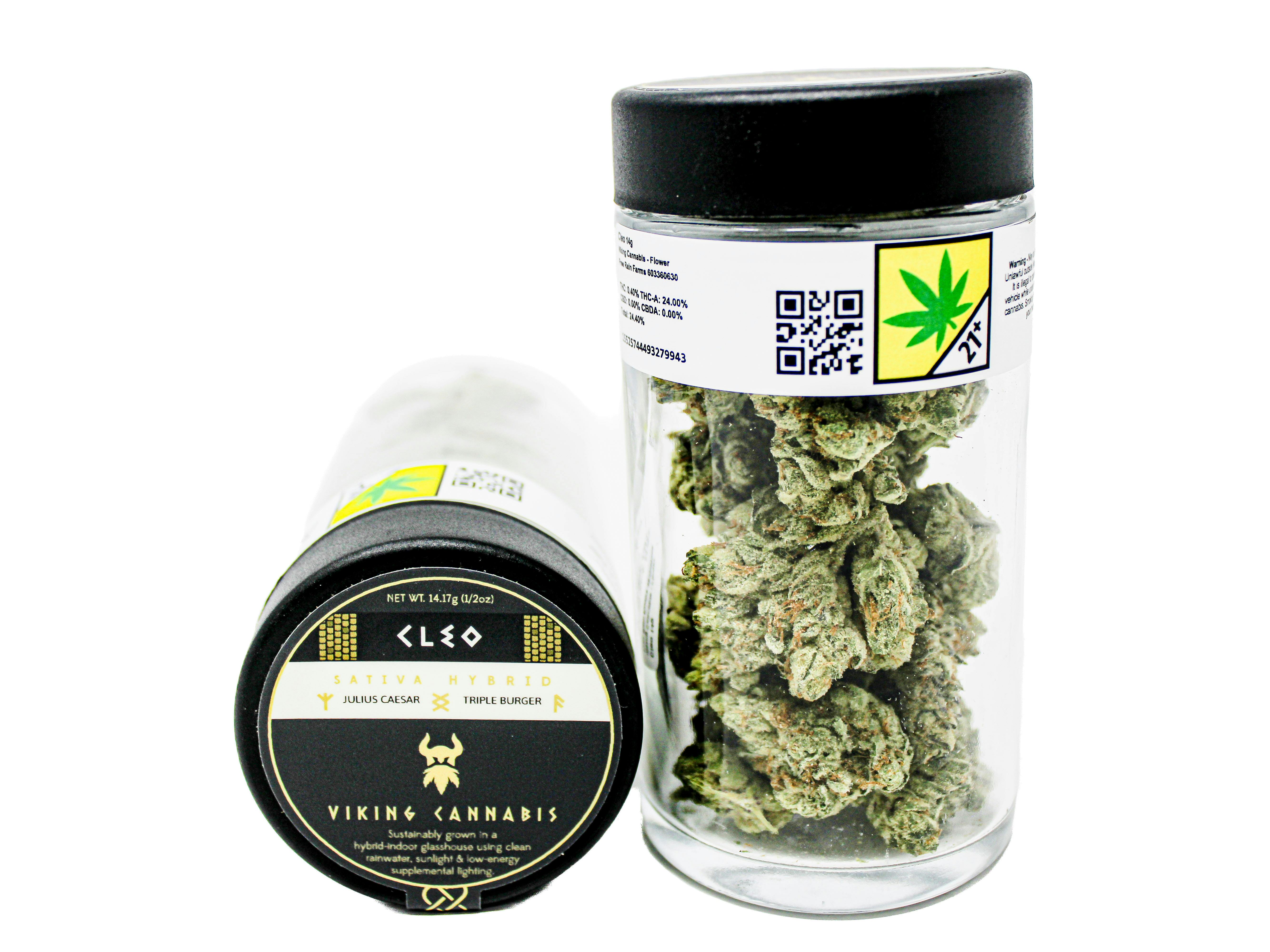 Cleo | Big Buds | 14.17g by Viking Cannabis