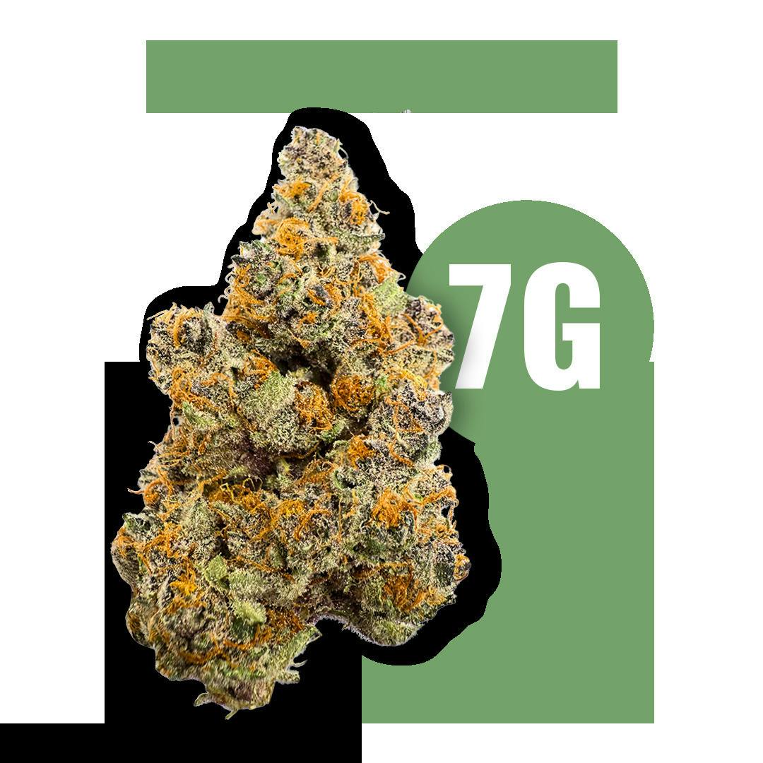 Tropicana Punch | Big Buds | 7g