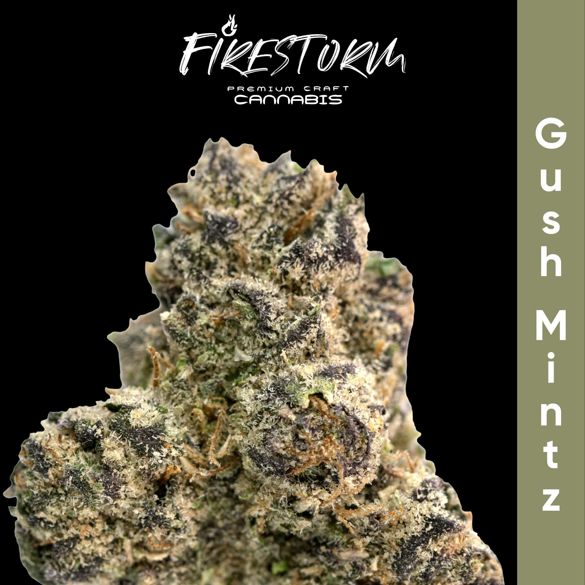 Gush Mintz | Big Buds | 3.5g