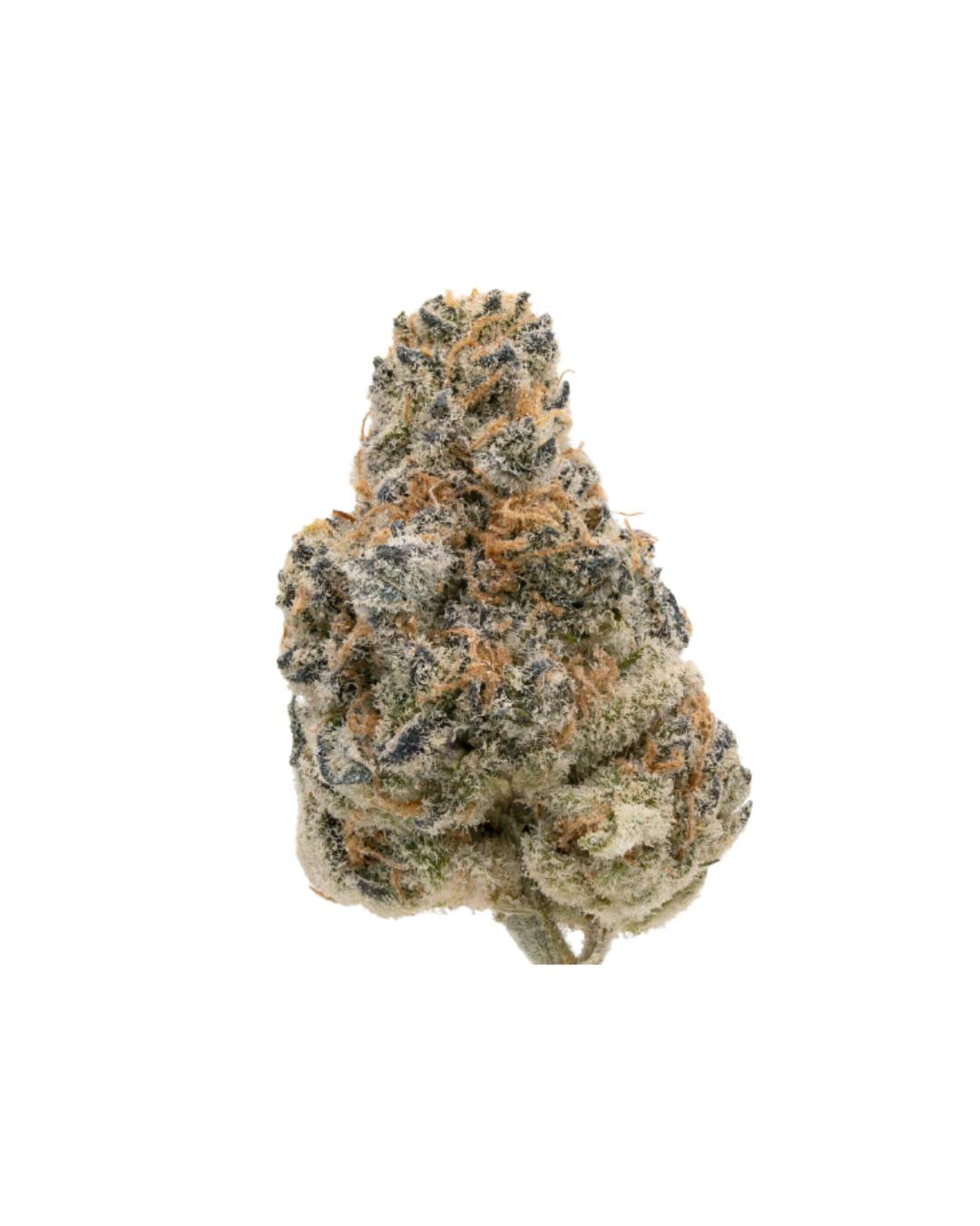 Truffle Runtz | Buds | 1g