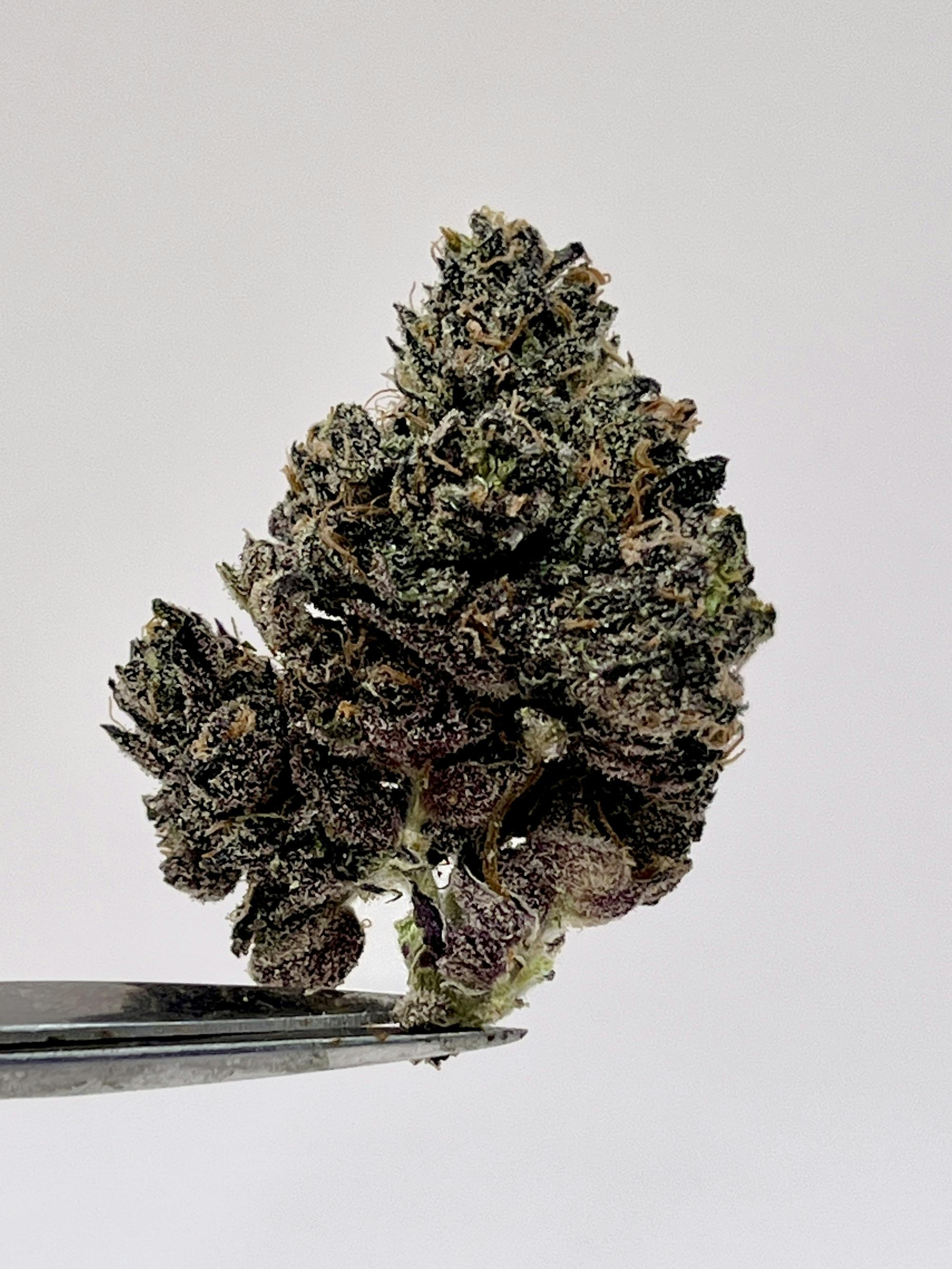 Ice Cream Cake | Big Buds | 1g at Nature's Miracle, LLC