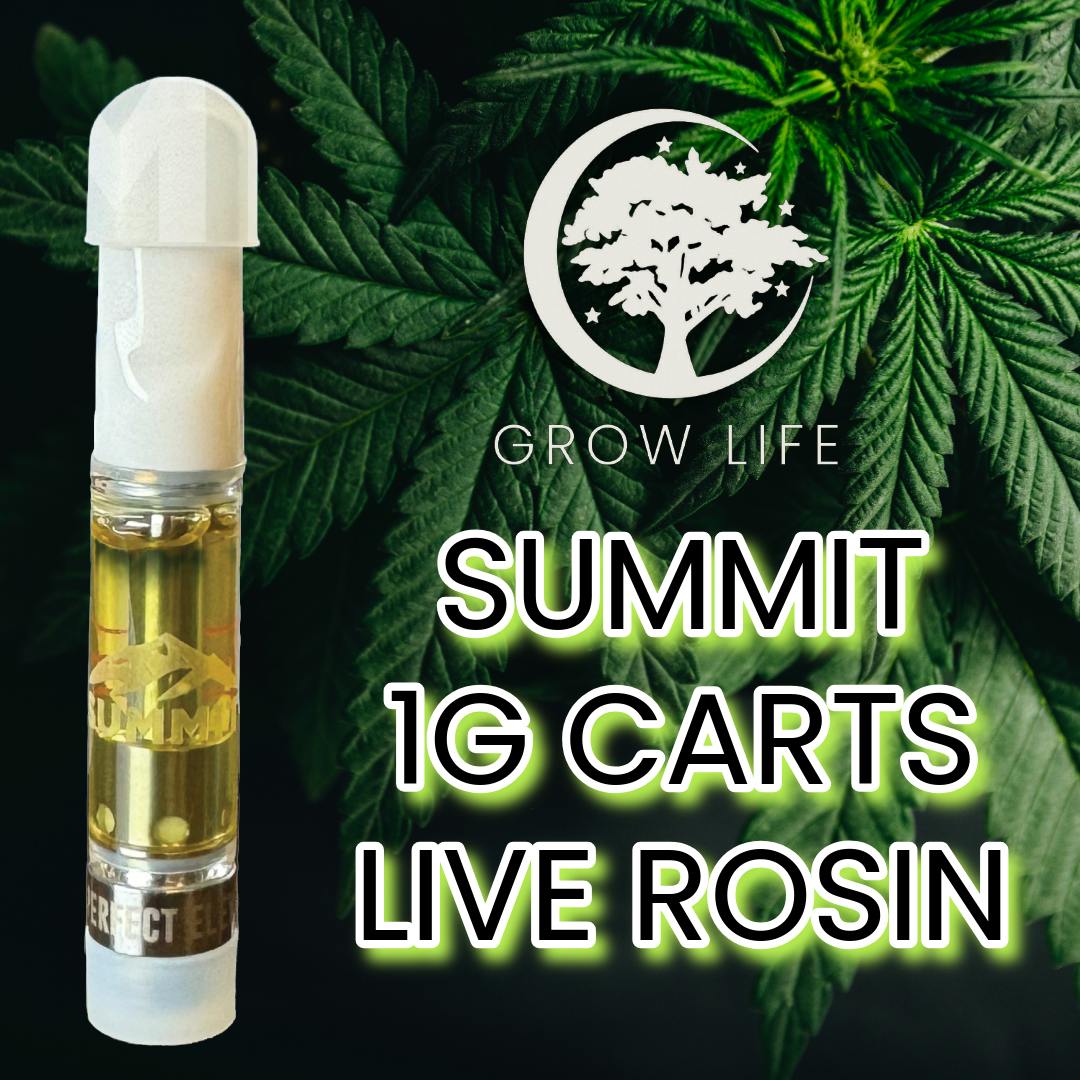 Platinum Cake Mints #13 | Cartridge | 1g