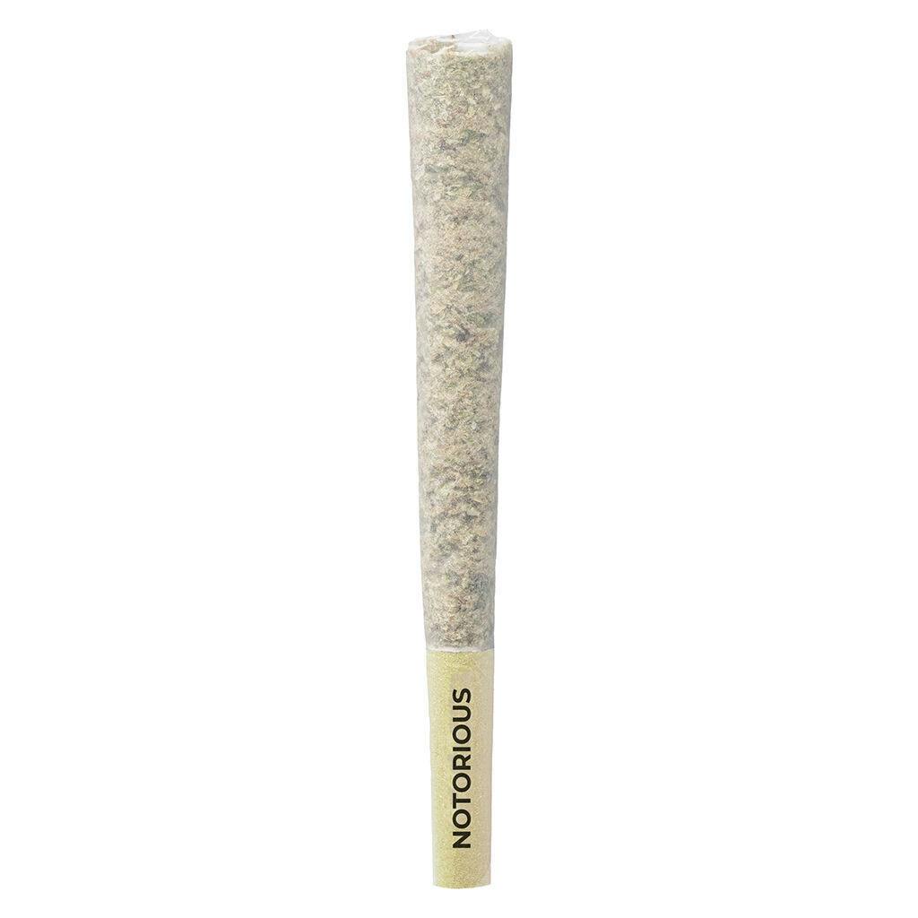 Notorious | Minis | 0.5g | 3pk