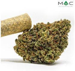 Coughy Cake | Joints | 1g by Mac