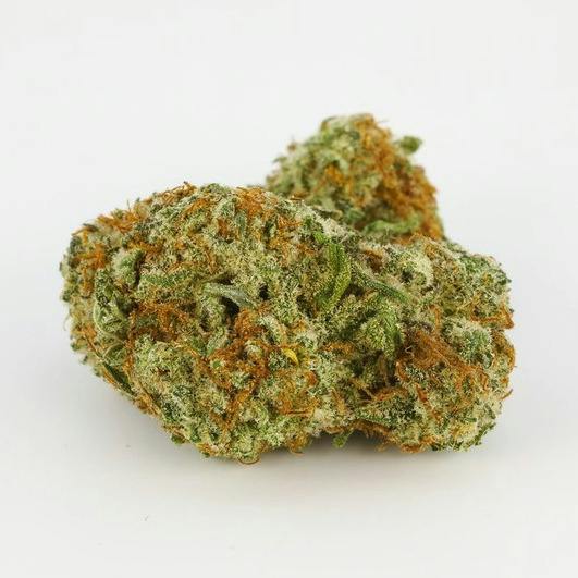 Blue Zushi | Big Buds | 1g