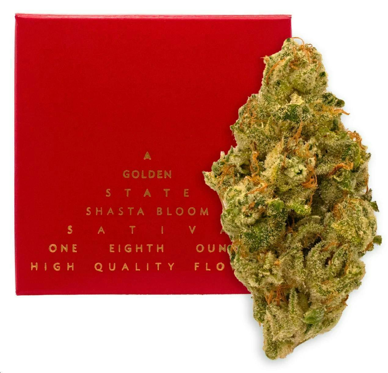 Shasta Bloom | Big Buds | 3.5g