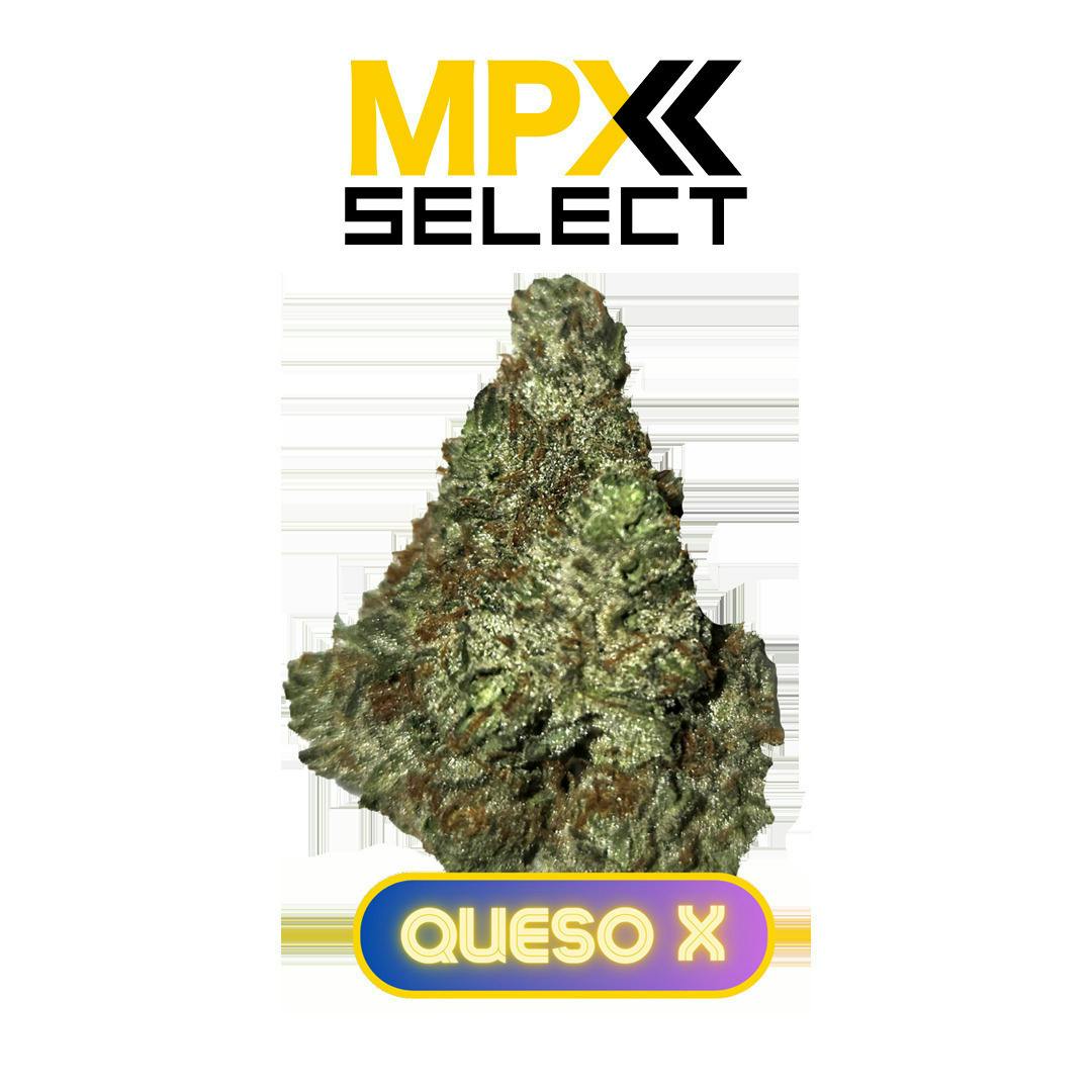 Queso X | Big Buds | 3.5g