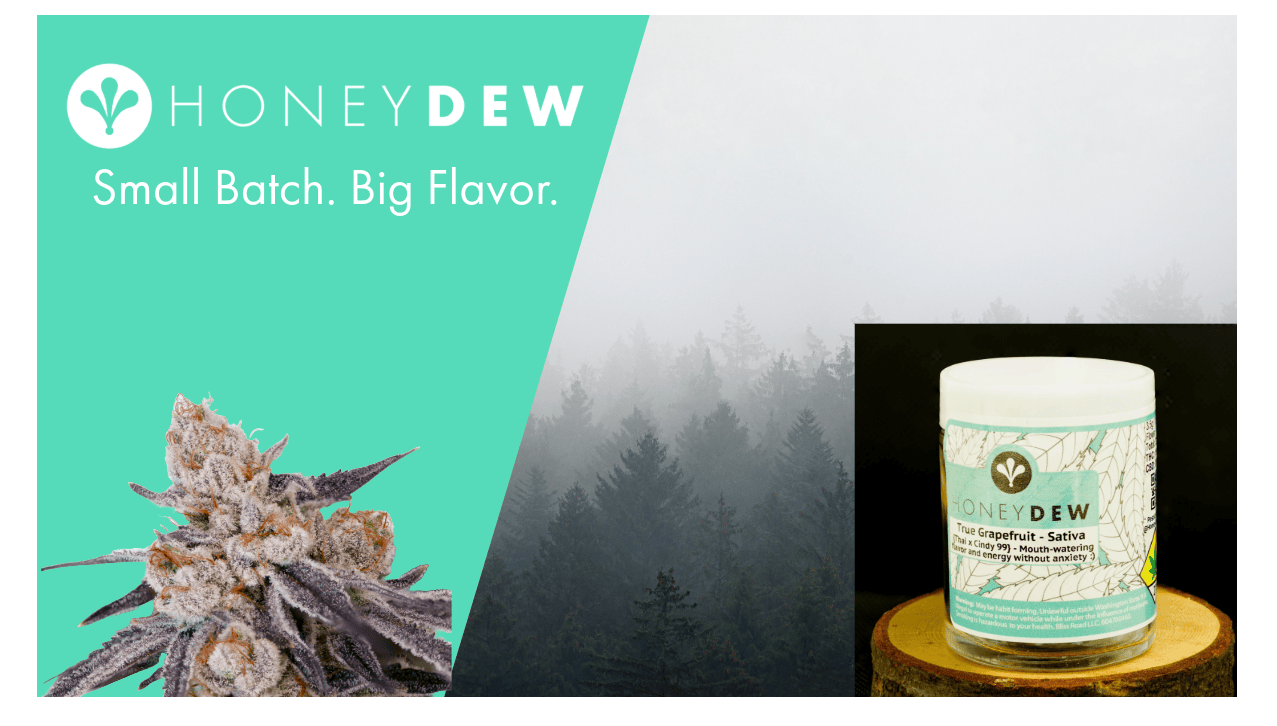 The Jack | Big Buds | 1g by Honeydew