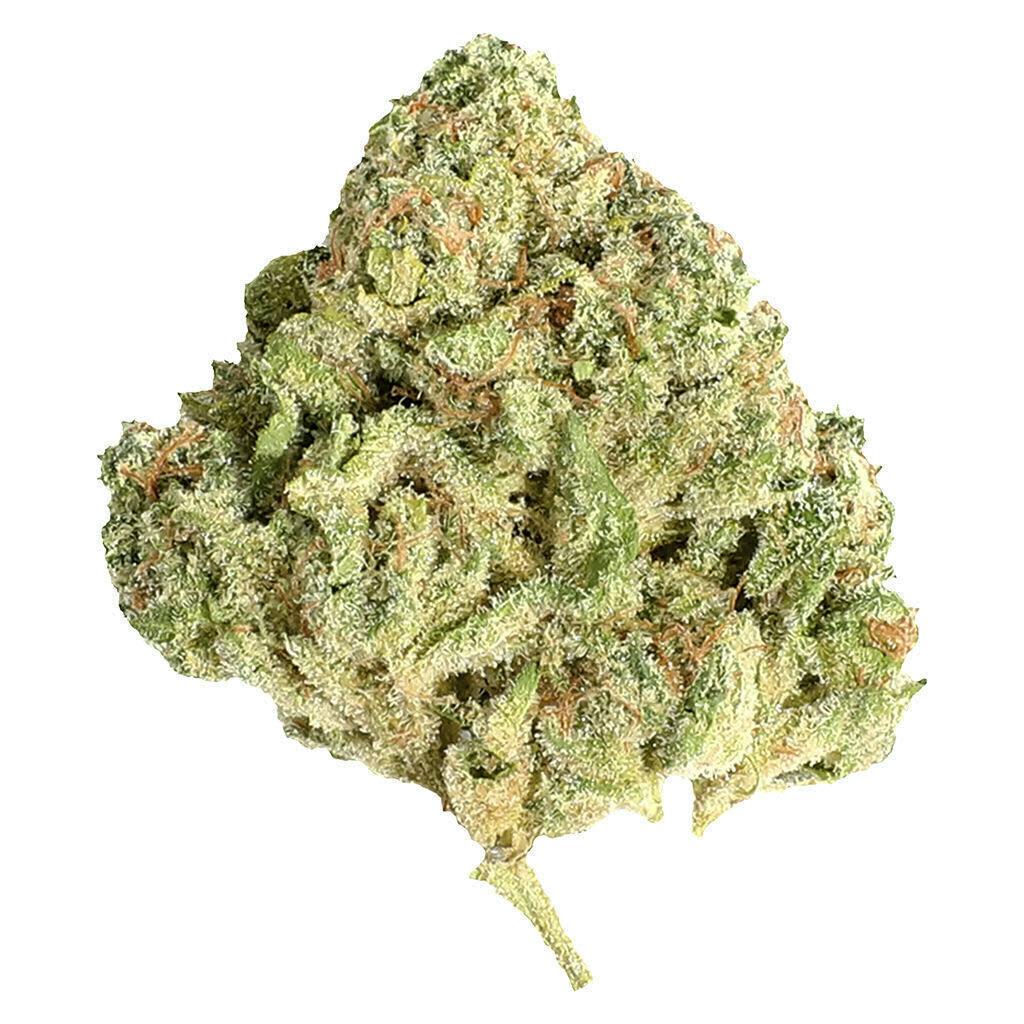 Sugar Shack | Big Buds | 7g