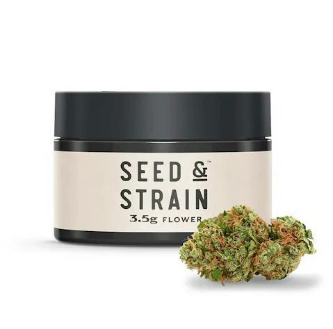 Sunshine Daydream | Big Buds | 3.5g by Seed & Strain