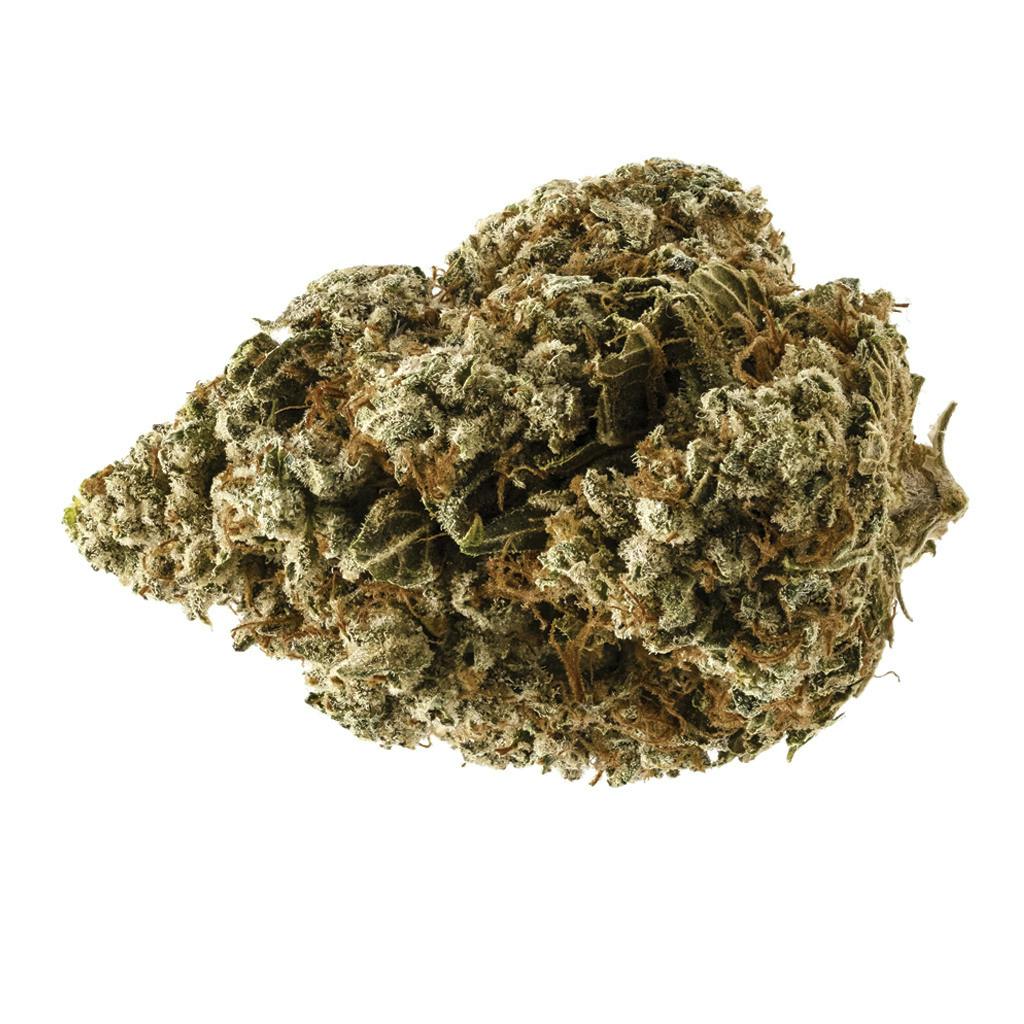 Tunaaaaroom Rntz Muffins | Big Buds | 3.5g