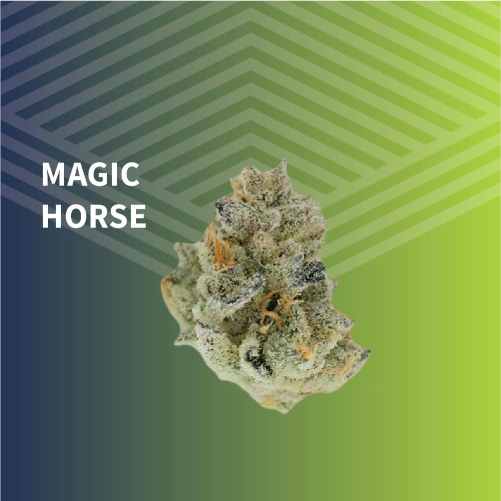 Magic Horse | Big Buds | 1g at Pure Dakota Health Williston Dispensary