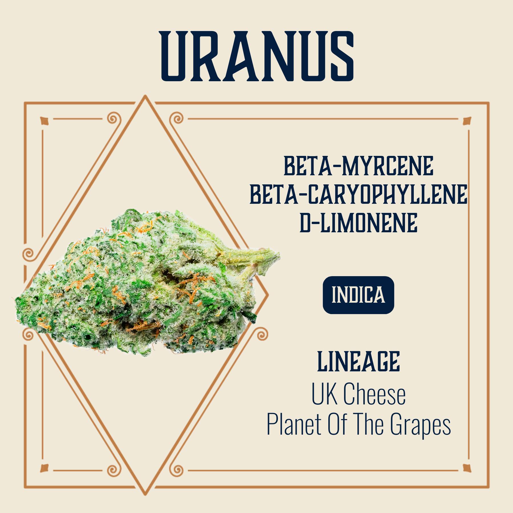 Uranus | Big Buds | 3.5g by Elevate