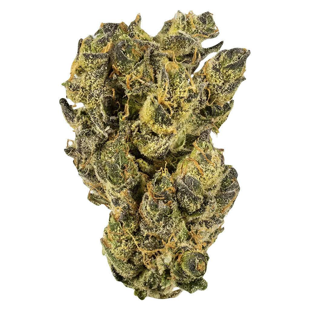 Citrus Tsunami | Big Buds | 3.5g