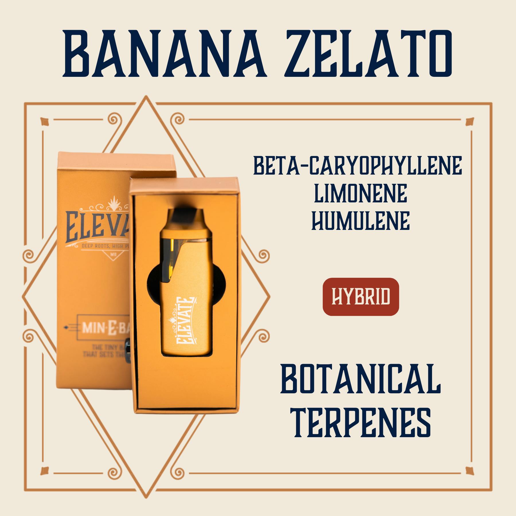 Banana Zelato | Disposable | 1g by Elevate