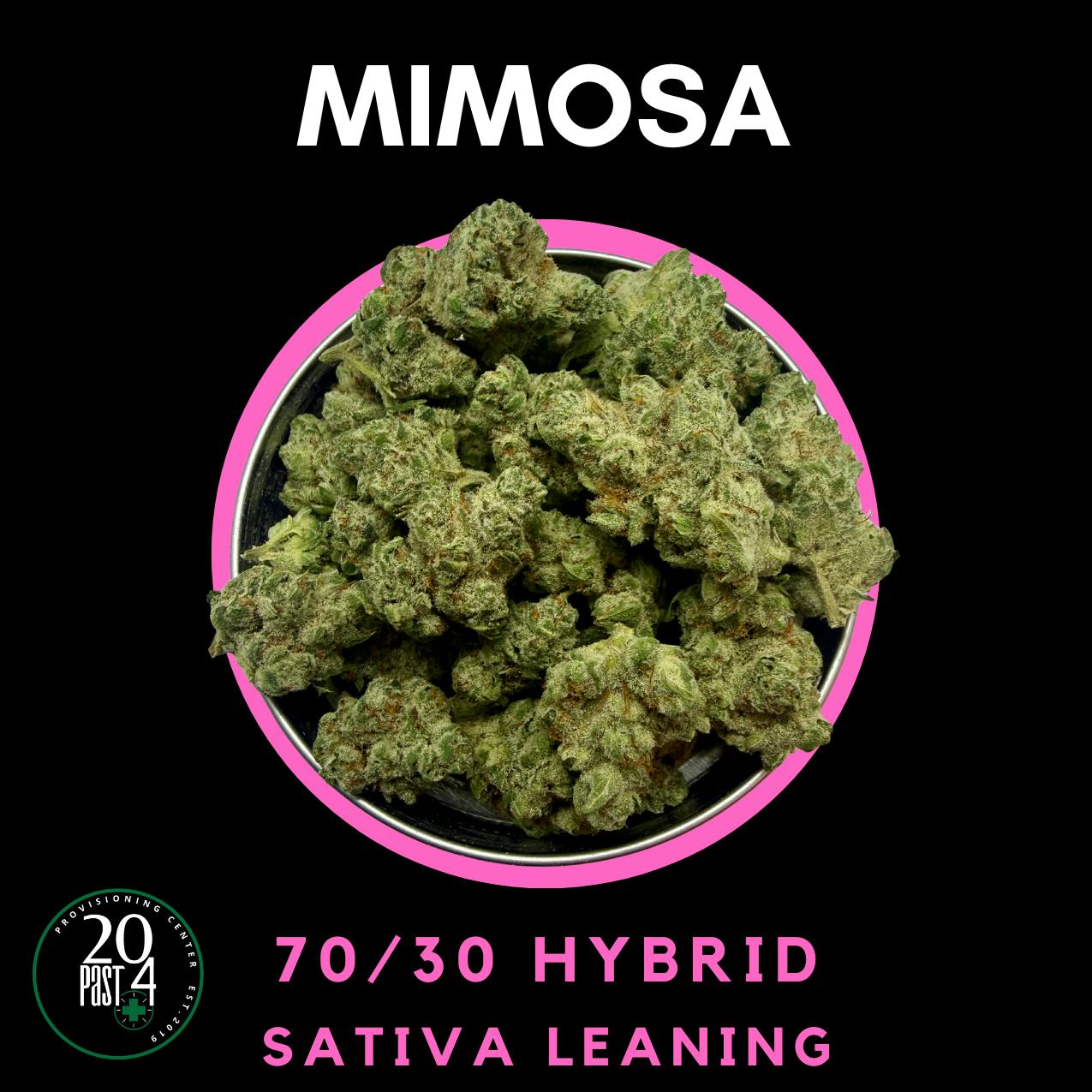 Mimosa | Buds | 1g
