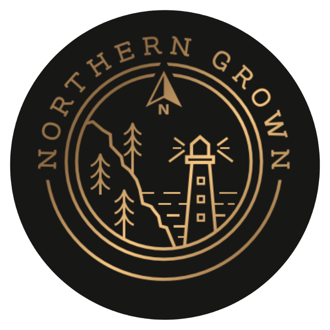 Maine Blueberry | 2g by Northern Grown