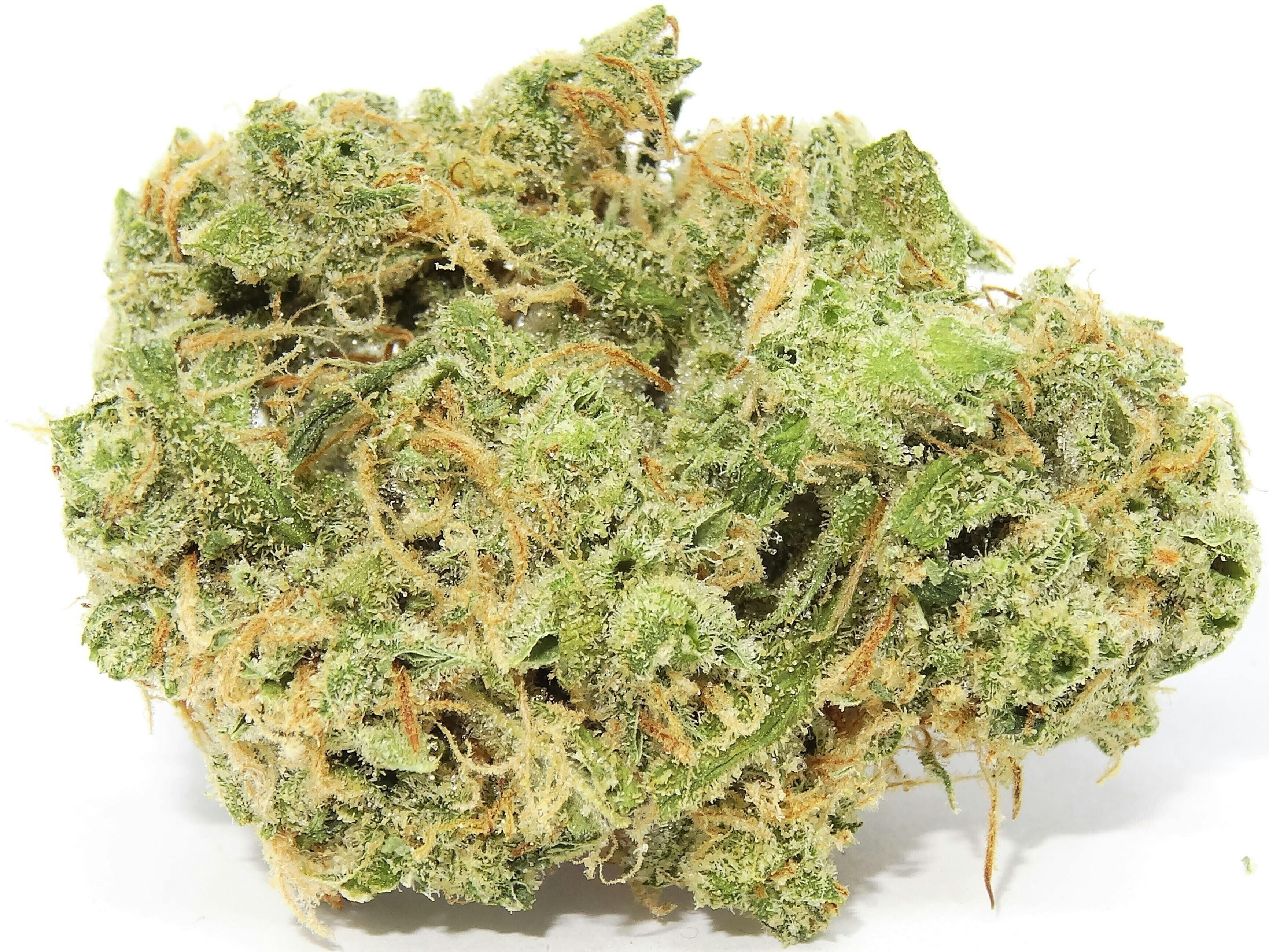 Otis Gardens: Sparkling Lime
