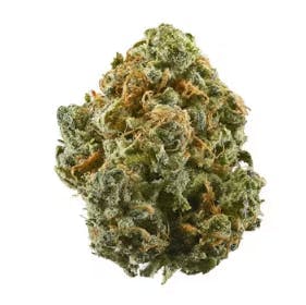 Willow Creekside Farms — Alaskan Thunder Fuck