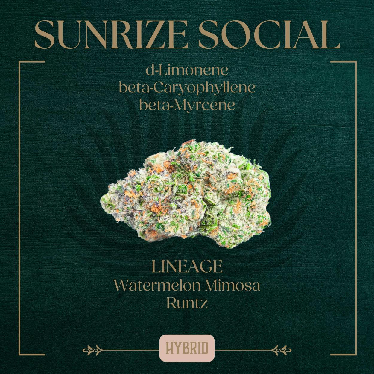 Sunrize Social | Big Buds | 3.5g