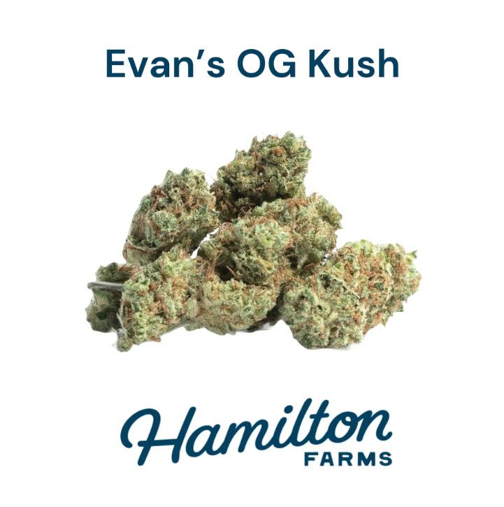 Evan's OG | Big Buds | 3.5g